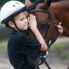 Катание на лошади для детей 
