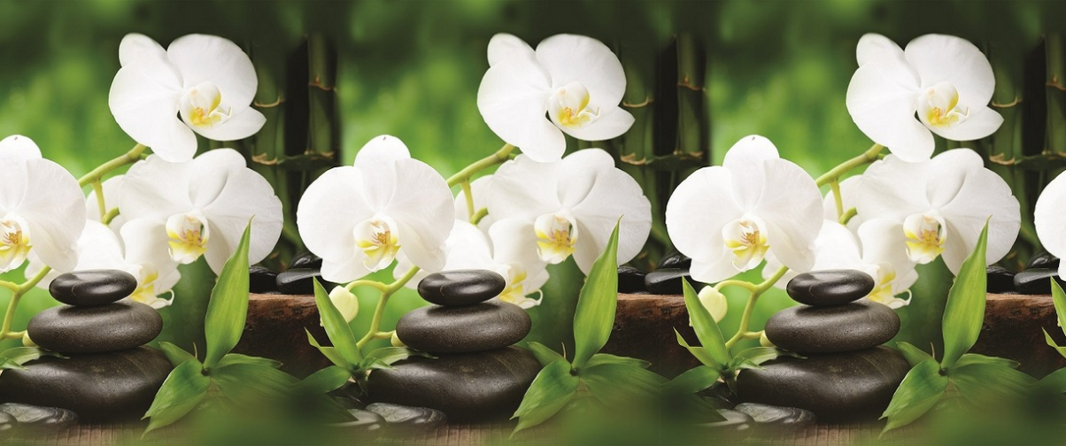 SPA для двоих «Китайские рецепты»
